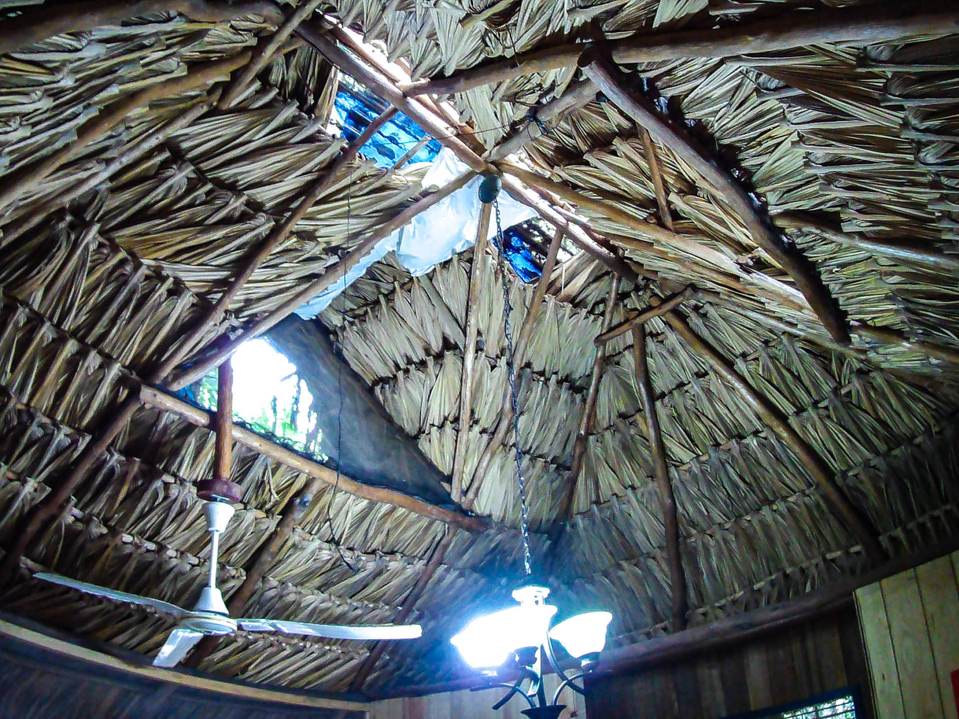 Hotel Kangaroo Rio Dulce Guatemala