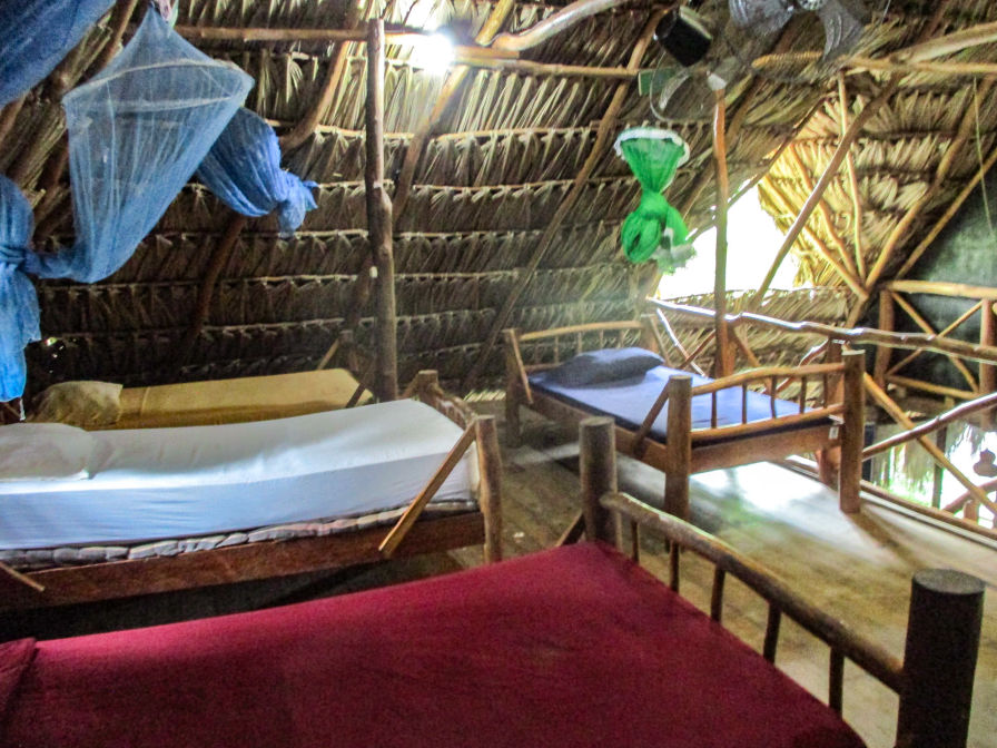 Dormitory Hotel-Kangaroo