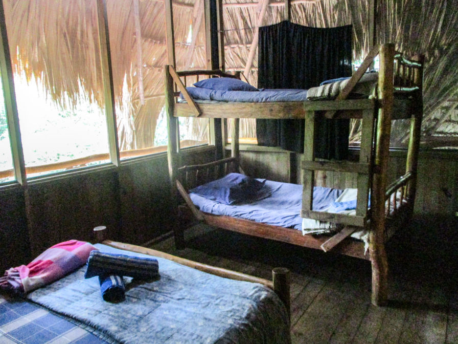 Room4 Hotel-Kangaroo