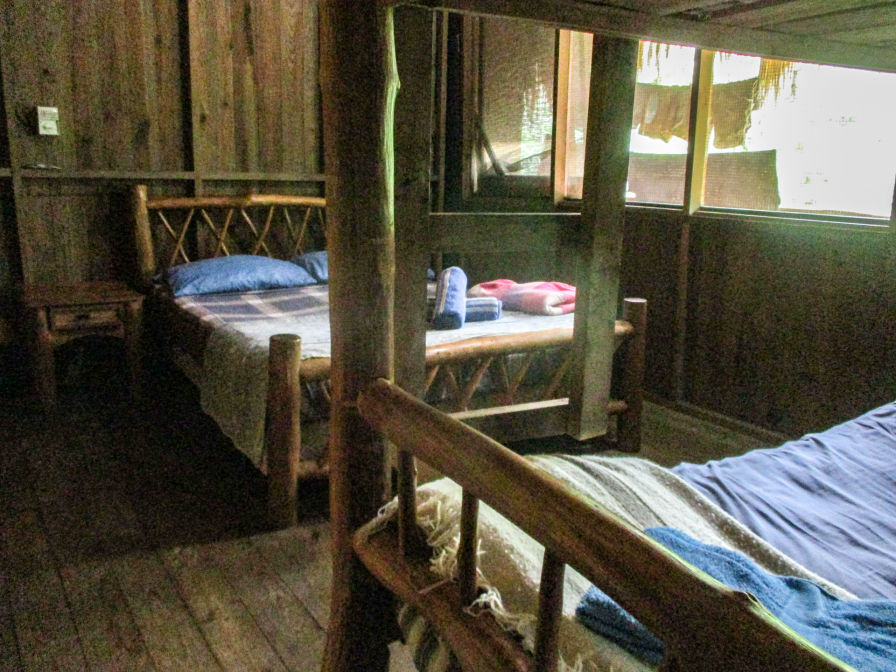 Room4 Hotel-Kangaroo