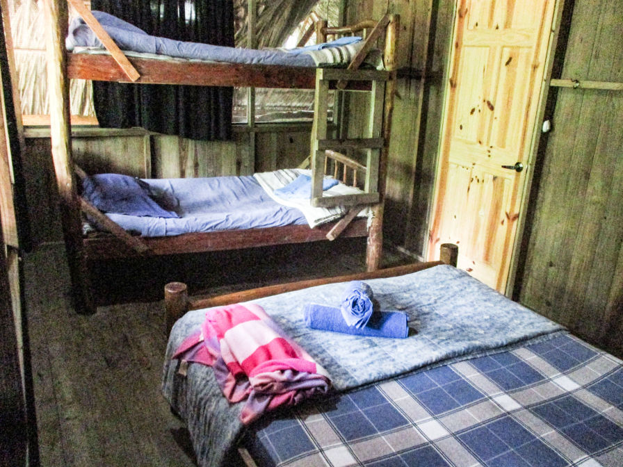 Room4 Hotel-Kangaroo