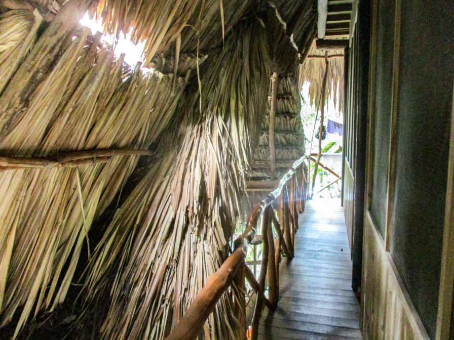 Room1 Hotel-Kangaroo