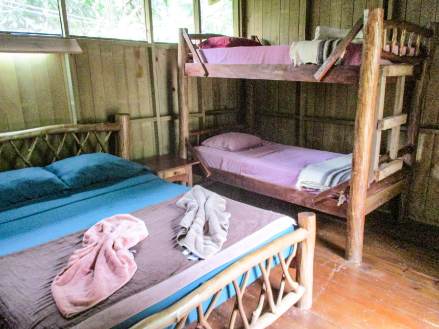 Bungalow5 Hotel-Kangaroo