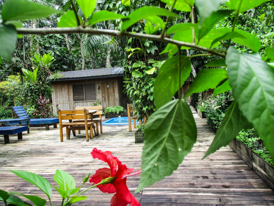 Bungalow6 Hotel-Kangaroo