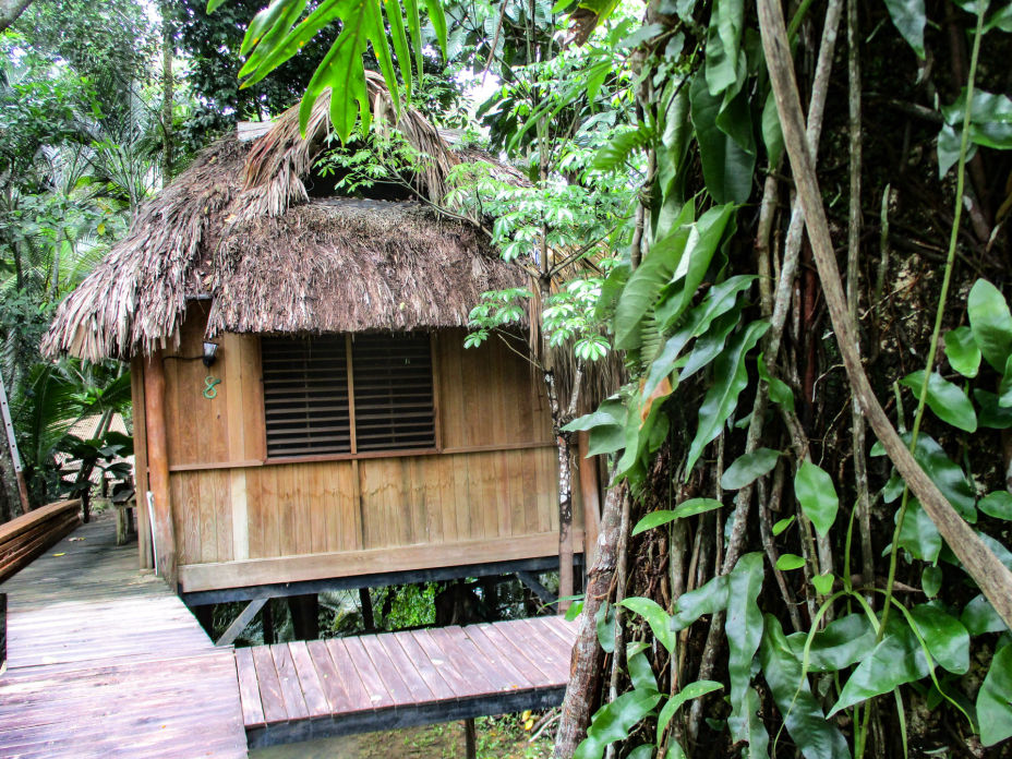 Bungalow8 Hotel-Kangaru