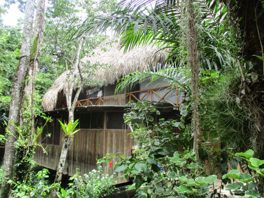 Room2 Hotel-Kangaroo