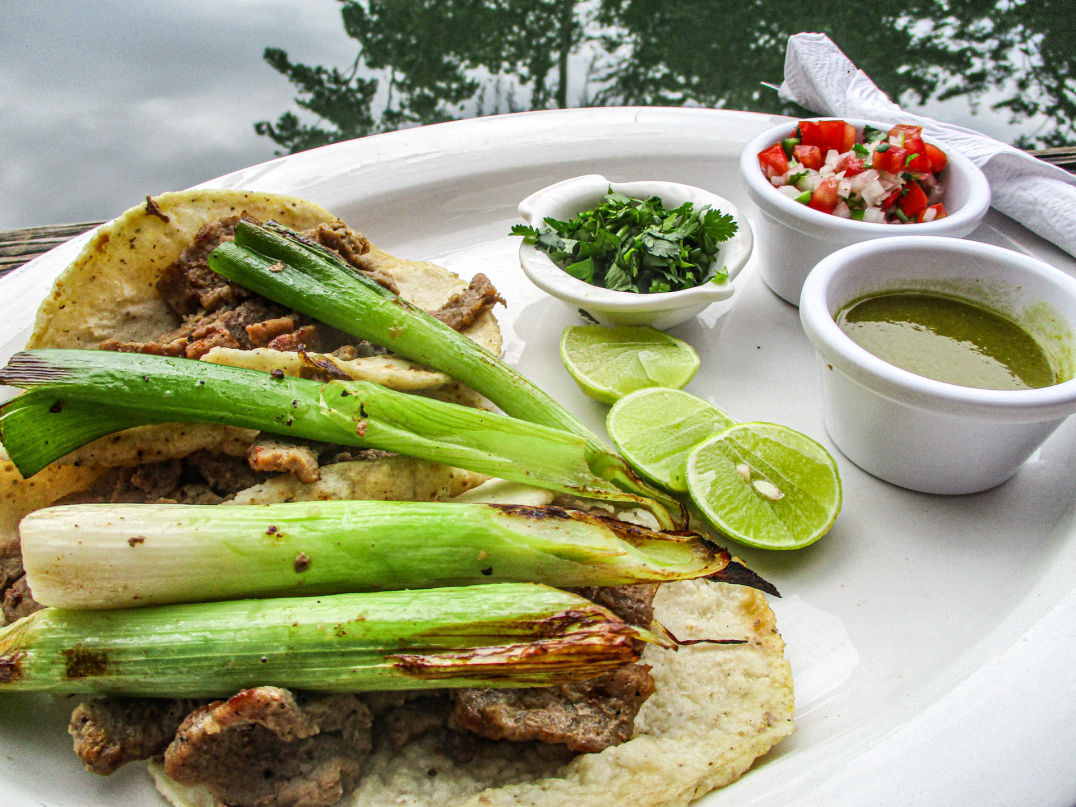 Hotel Kangaroo Rio Dulce Guatemala