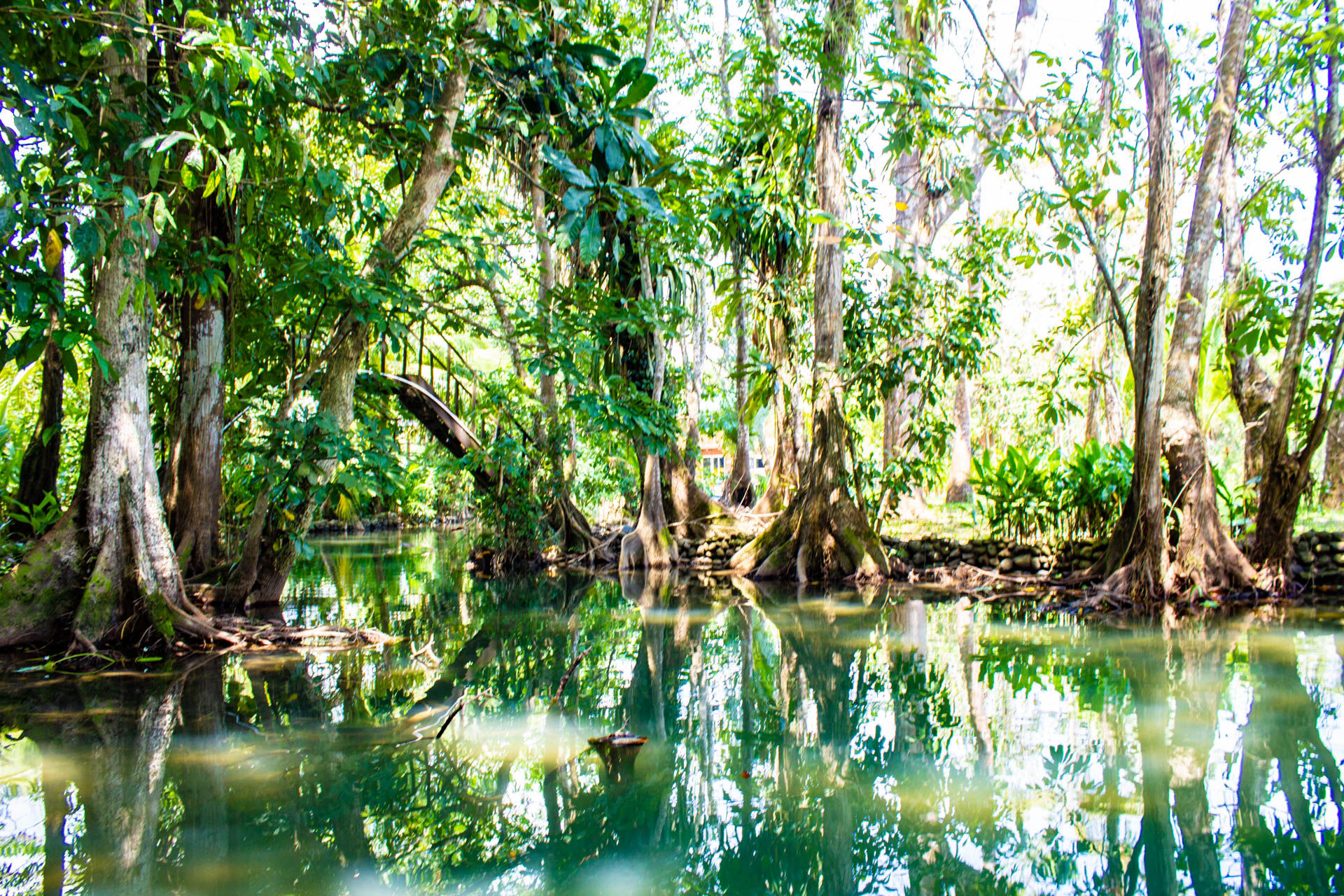 Hotel Kangaroo Rio Dulce Guatemala