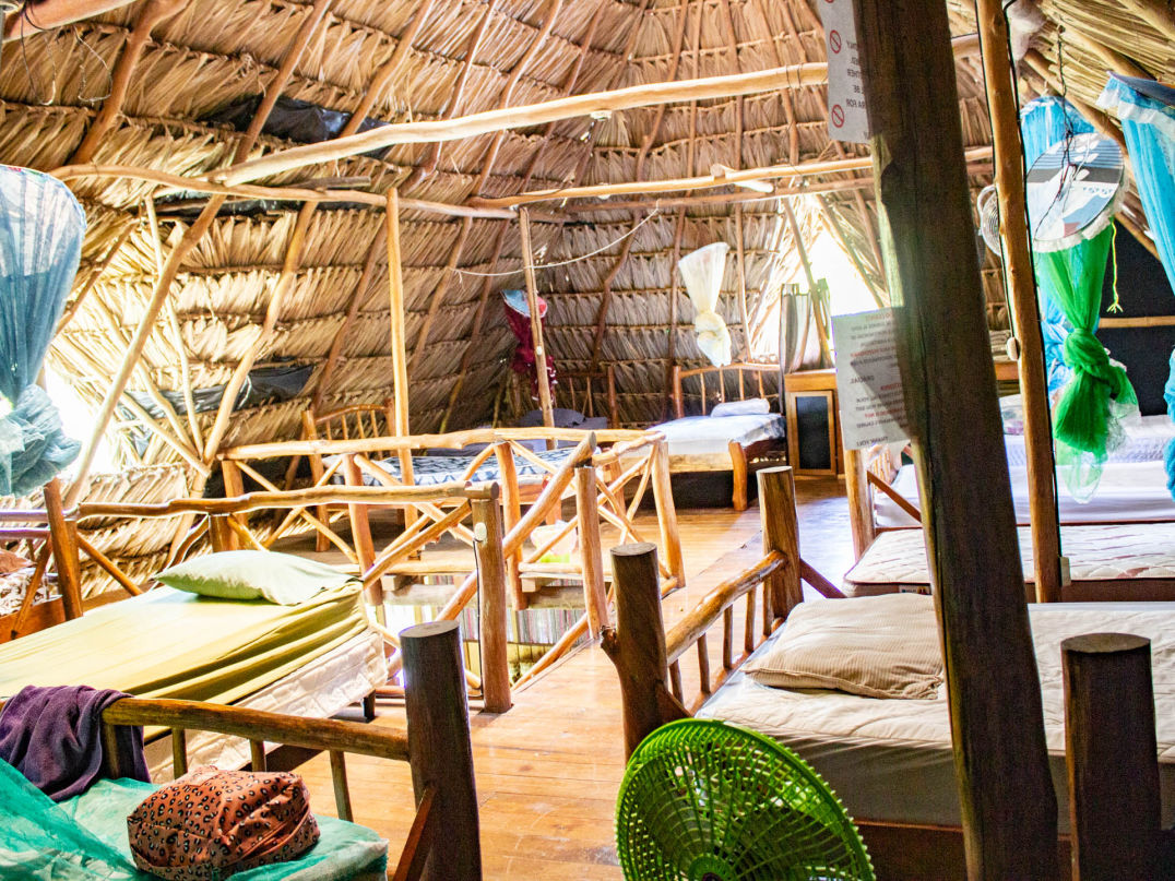 Dormitory Hotel-Kangaroo